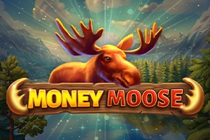 03247 money moose
