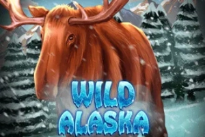 12237 wild alaska