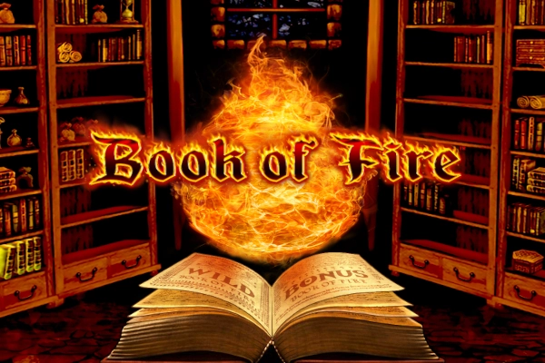 13753 book of fire